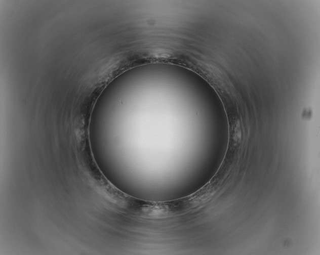 X0000091990559200709201450