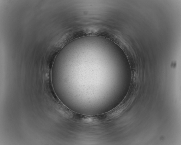X0000091990561200709201450