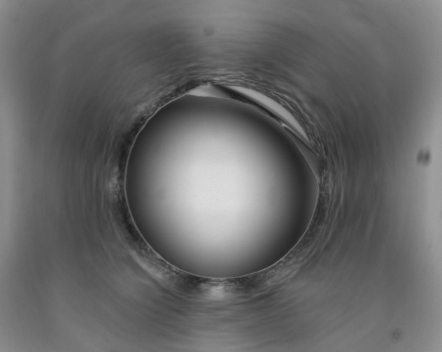 X0000091990564200709201450