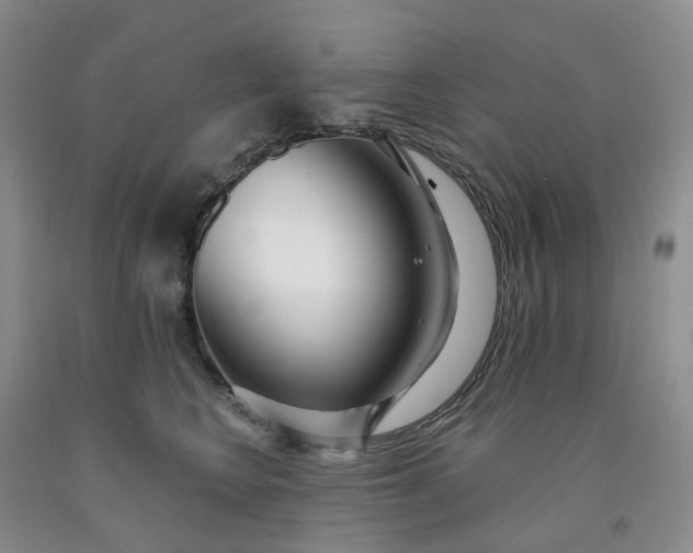 X0000091990566200709201450
