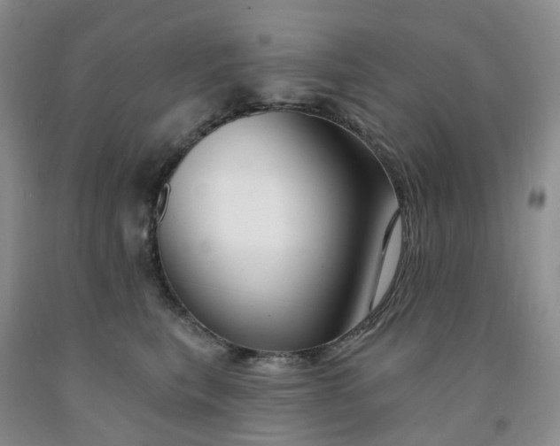 X0000091990567200709201450