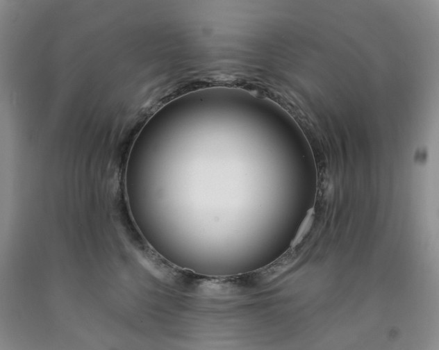 X0000091990568200709201450