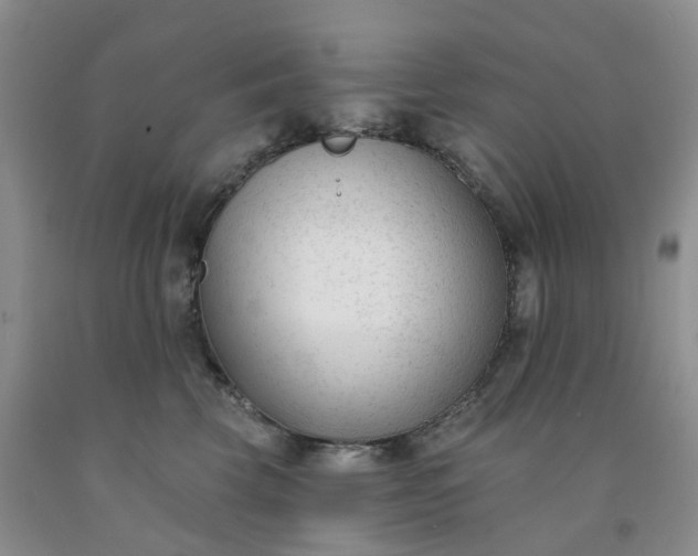 X0000091990569200709201450