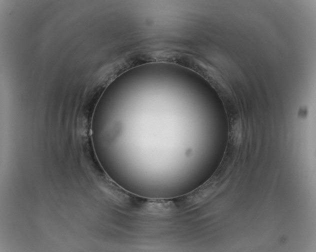 X0000091990571200709201450