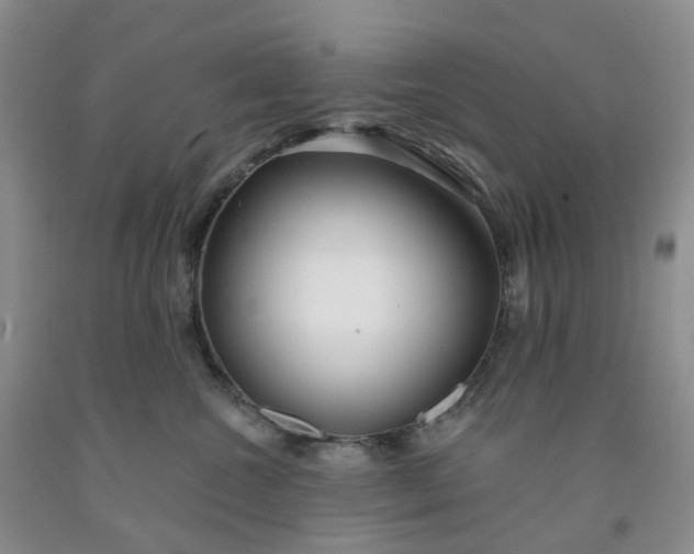X0000091990572200709201450
