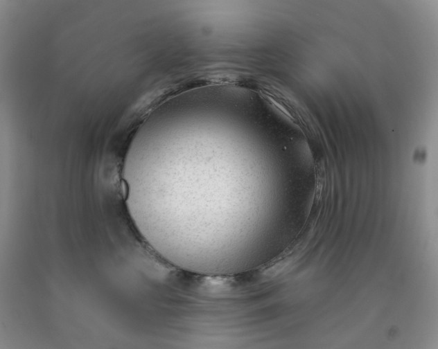 X0000091990573200709201450
