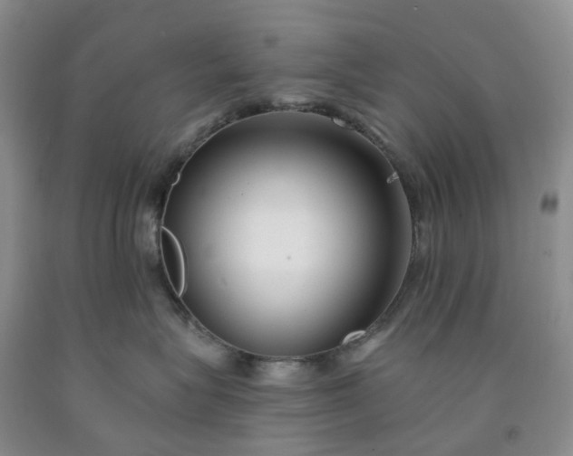 X0000091990575200709201450