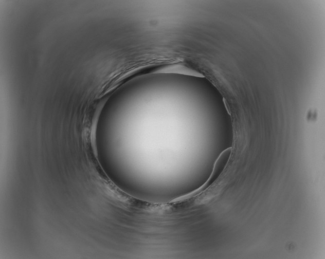 X0000091990576200709201450