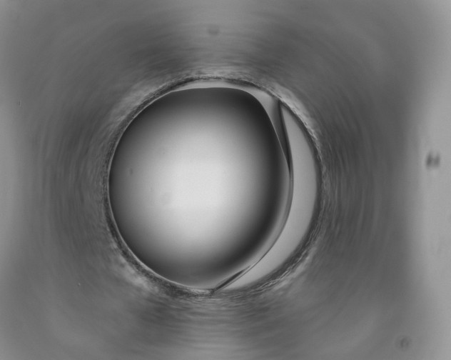 X0000091990577200709201449
