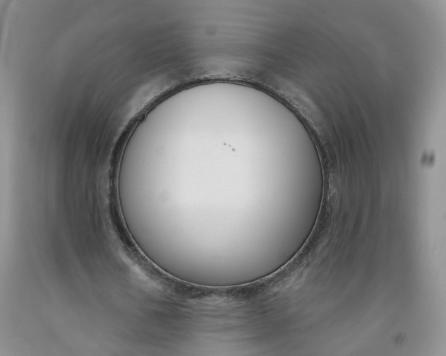 X0000091990578200709201449