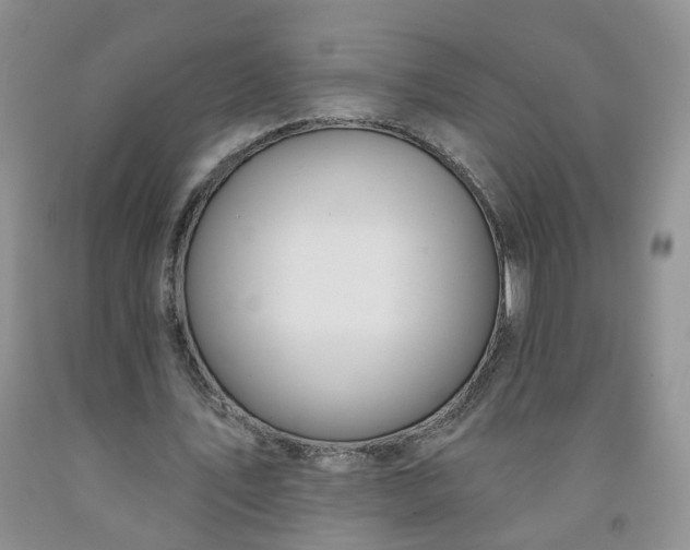 X0000091990579200709201449