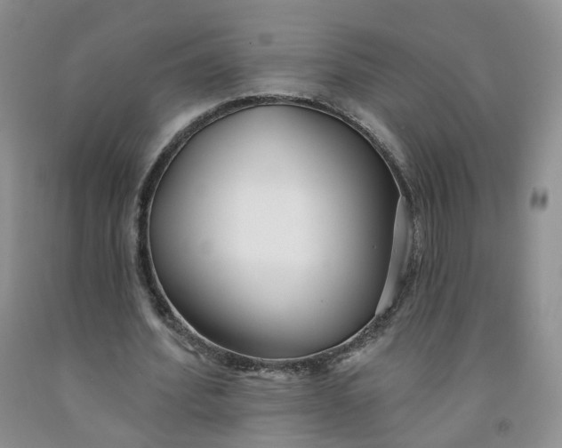 X0000091990580200709201449