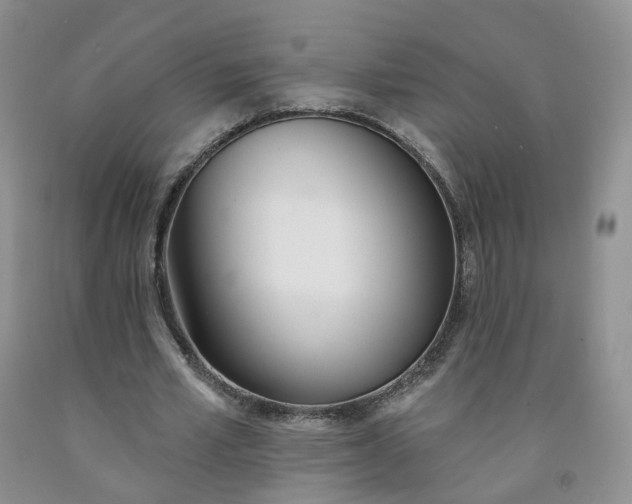X0000091990581200709201449