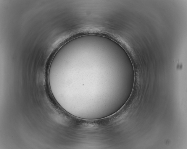 X0000091990582200709201449