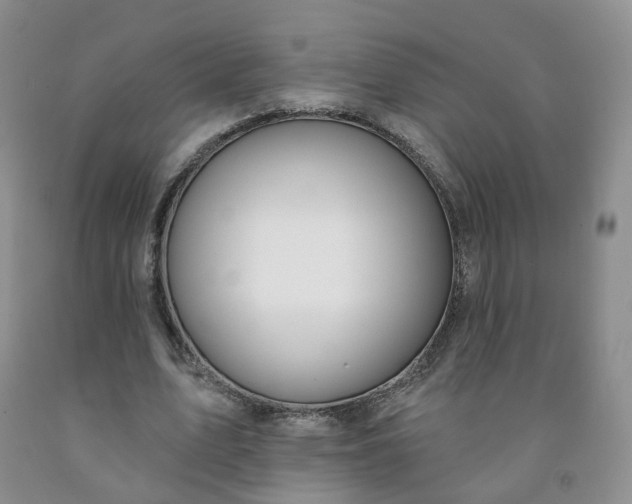 X0000091990583200709201449