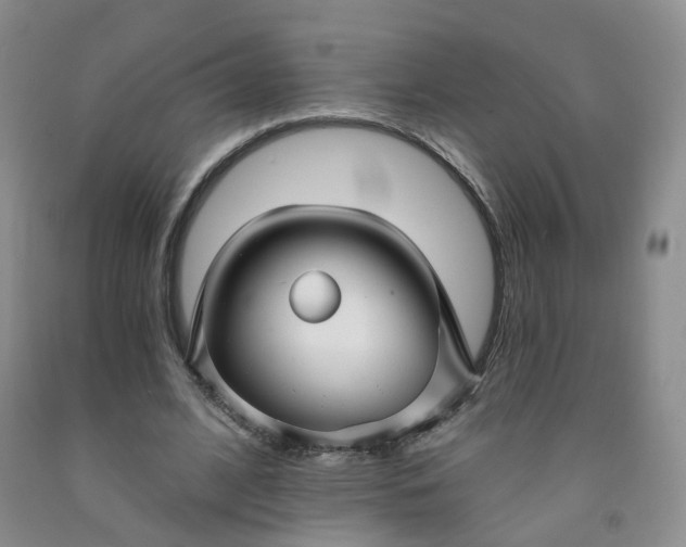 X0000091990584200709201449