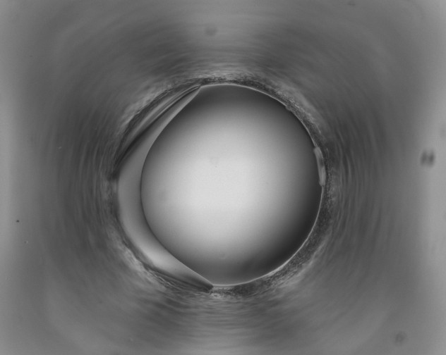 X0000091990585200709201449