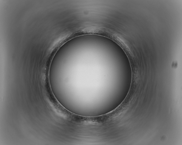 X0000091990586200709201449