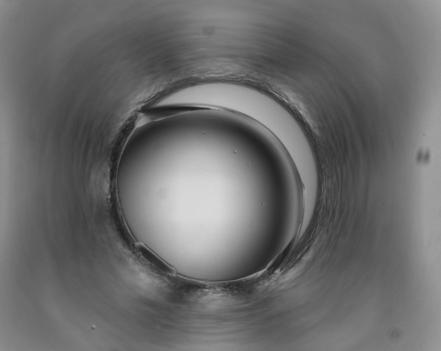 X0000091990589200709201449