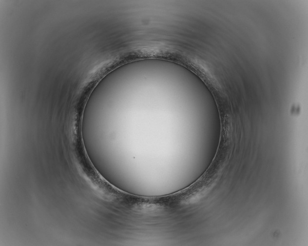 X0000091990590200709201449