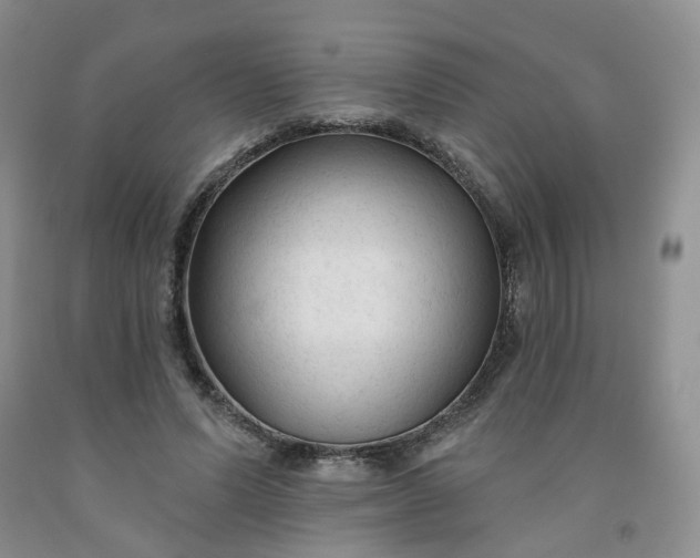 X0000091990591200709201449