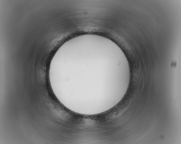 X0000091990592200709201449