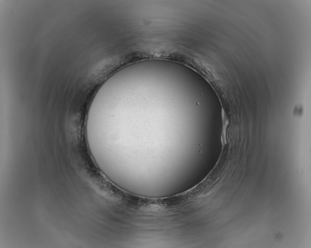 X0000091990594200709201449