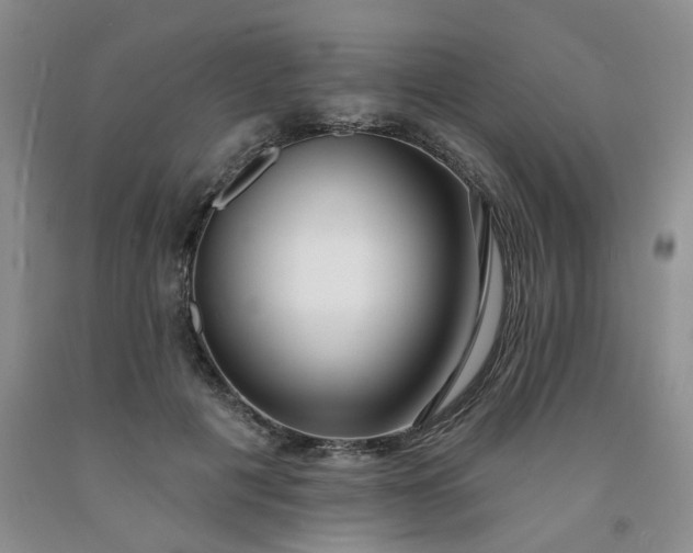 X0000091990601200709201449