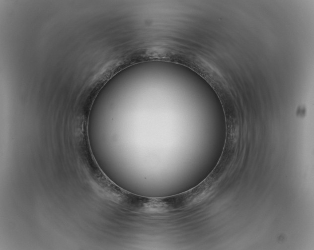 X0000091990603200709201449