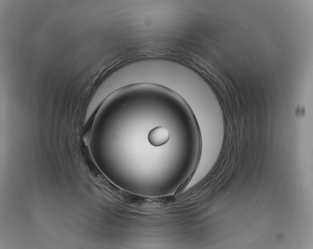 X0000091990604200709201449