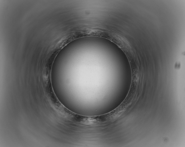 X0000091990607200709201449