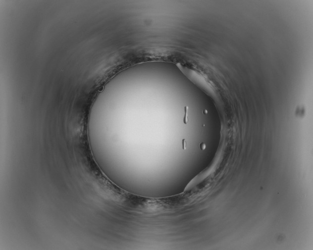 X0000091990608200709201449