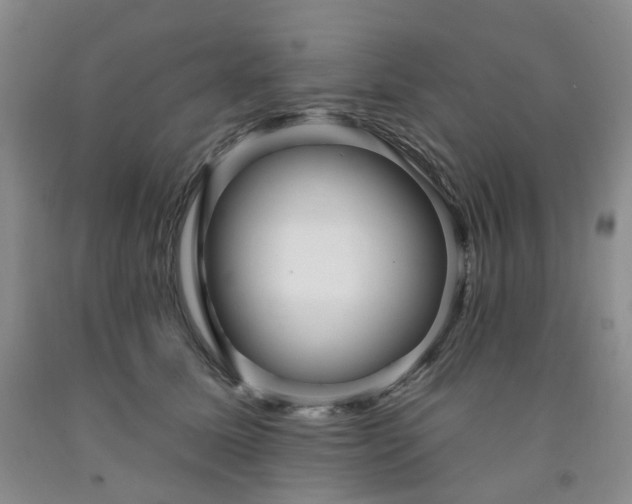 X0000091990611200709201449