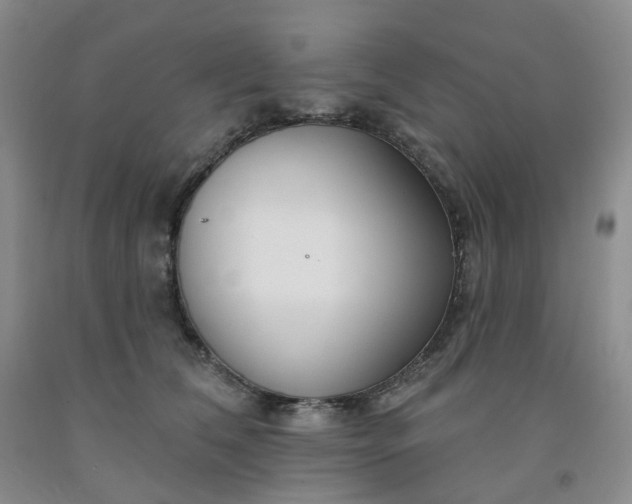 X0000091990612200709201449
