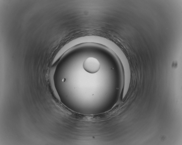 X0000091990613200709201449