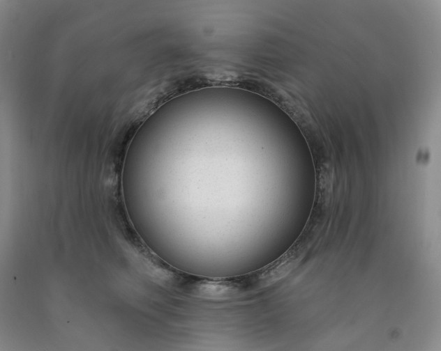 X0000091990614200709201449