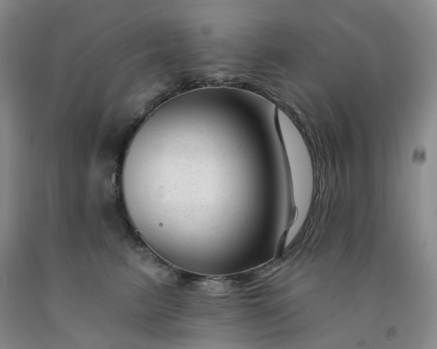 X0000091990615200709201449