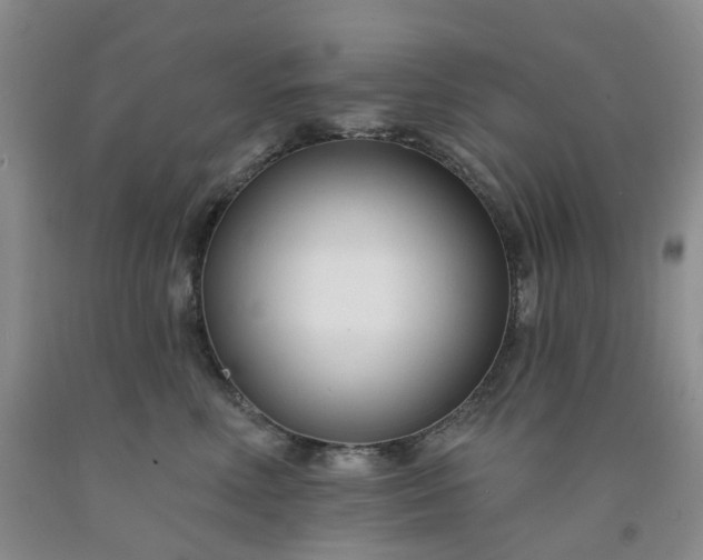 X0000091990618200709201448