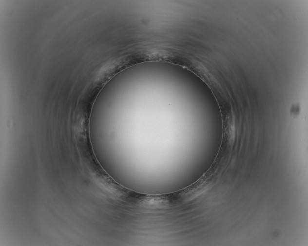 X0000091990619200709201448