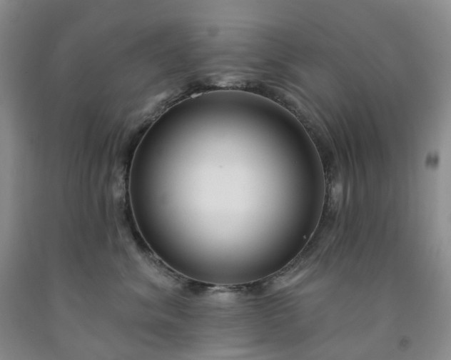 X0000091990620200709201448