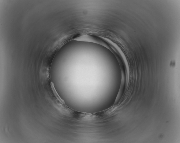 X0000091990621200709201448