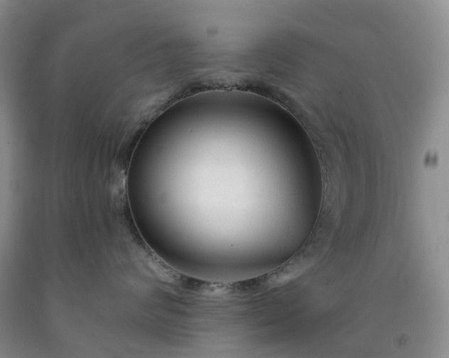 X0000091990624200709201448