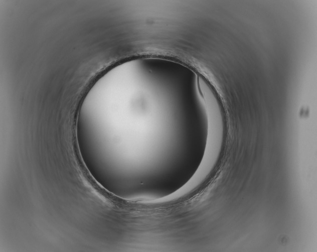 X0000091990625200709201448