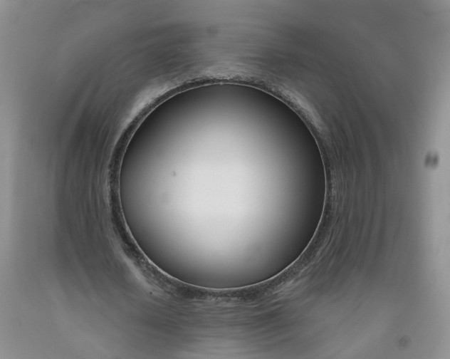 X0000091990626200709201448