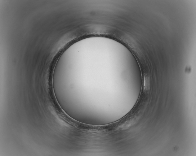 X0000091990627200709201448