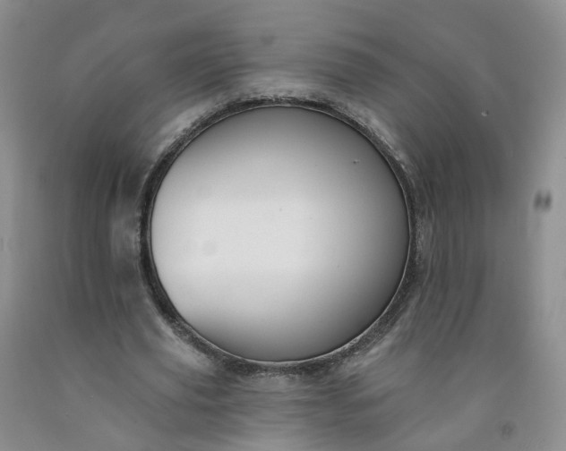 X0000091990629200709201448