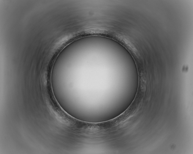 X0000091990631200709201448