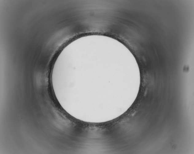 X0000091990632200709201448