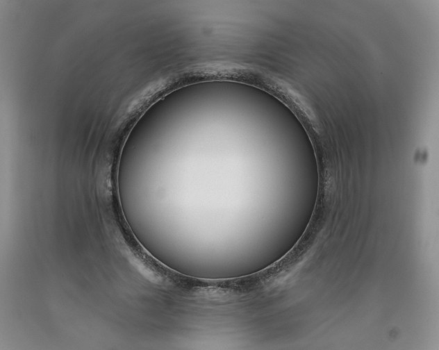 X0000091990633200709201448
