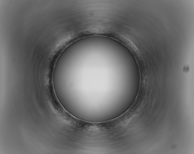 X0000091990635200709201448